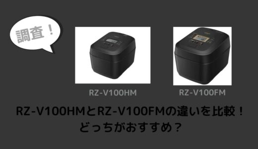 RZ-V100HMとRZ-V100FMの違いを比較！どっちがおすすめ？