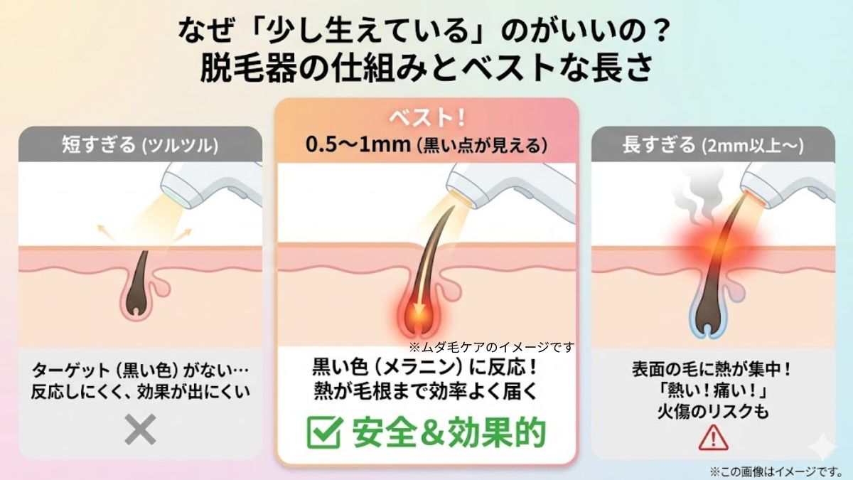結論：脱毛器を使う時の毛の長さは「0.5mm〜1mm（黒い点が見える程度）」がベスト