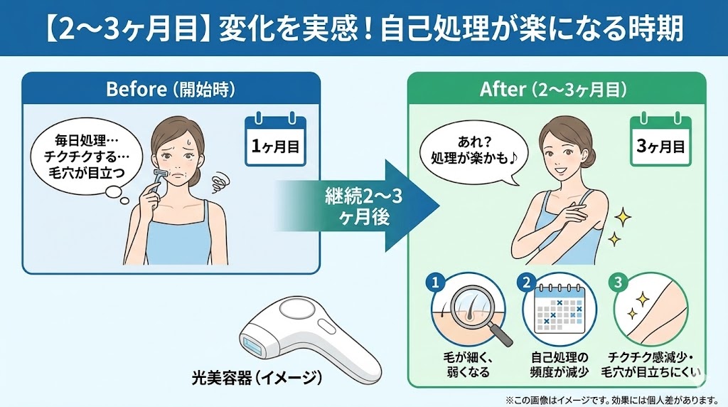 効果はいつから？部位別の期間・回数シミュレーション【腕・脚・脇】