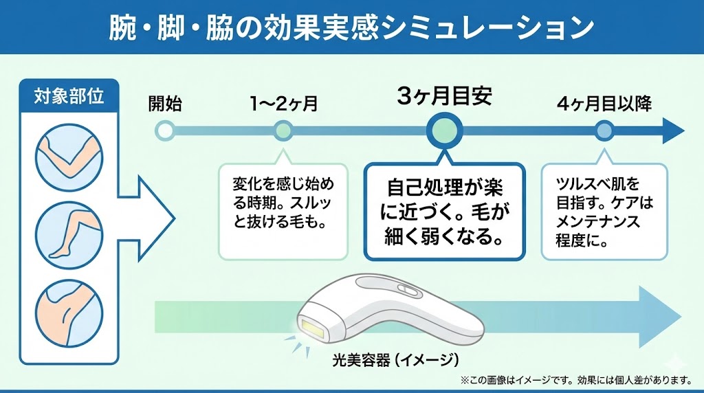 効果はいつから？部位別の期間・回数シミュレーション【腕・脚・脇】