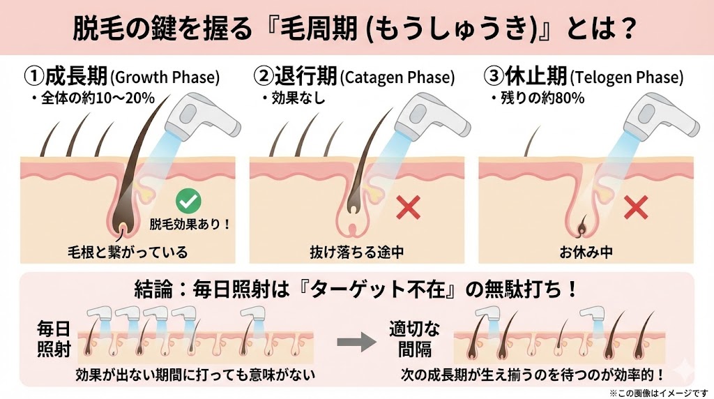家庭用脱毛器を毎日やってみた結果は？黒ずみの原因と「毛周期」の無視できない関係