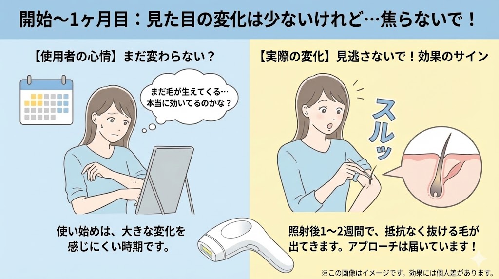 効果はいつから？部位別の期間・回数シミュレーション【腕・脚・脇】